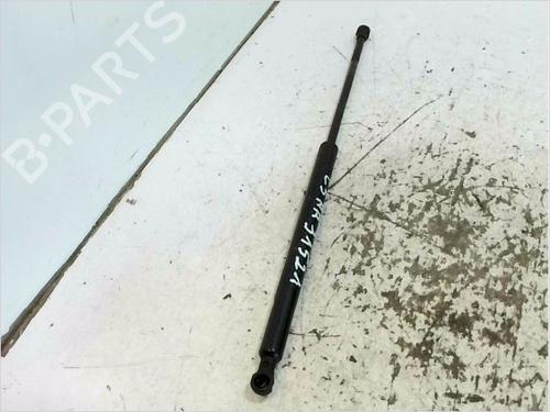 Used Tailgate lift support CITROËN C5 II (RC_) 1.6 HDi (RC8HZB) (109 hp) 30795629