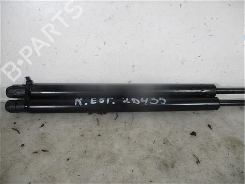 Tailgate lift support RENAULT ESPACE III (JE0_) 2.2 12V TD (JE0E, JE0H, JE0P) | BP26094550C138