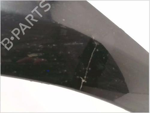 Left front fenders RENAULT CLIO III (BR0/1, CR0/1) 1.5 dCi (BR17, CR17) | BP26116619C41 