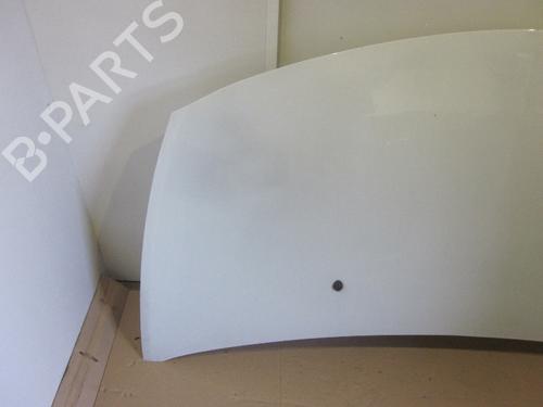 Hood RENAULT CLIO III (BR0/1, CR0/1) 1.5 dCi | BP26066262C1 