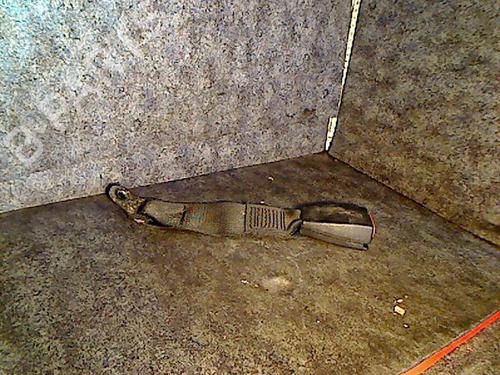 Used Seat buckle BMW 3 (E36) 318 i (113 hp) 26105086