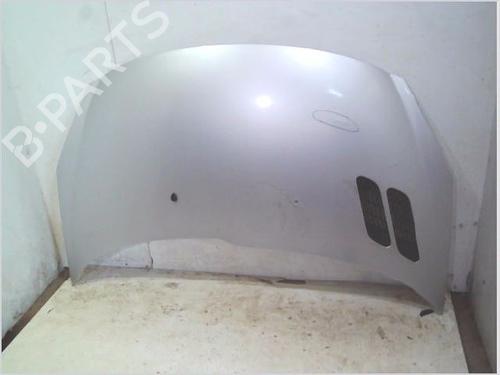 hood-peugeot-206-2l_-2m_-2009-2010-2011-2012-2013-33690707 main image