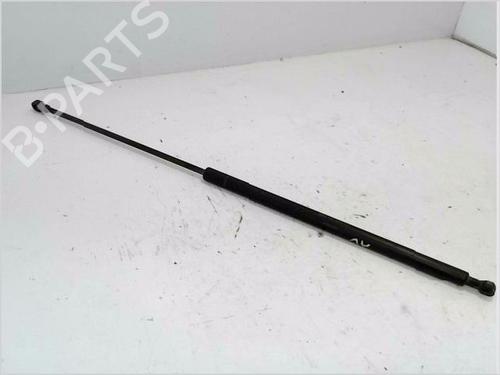 Used Hood lift support PEUGEOT 306 Hatchback (7A, 7C, N3, N5) 2.0 HDI 90 (90 hp) 26236782