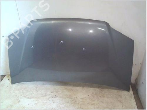Used Hood FIAT IDEA (350_) 1.9 JTD (101 hp) 27257684