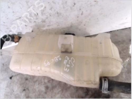 Expansion tank RENAULT CLIO III (BR0/1, CR0/1) 1.2 16V (BR02, BR0J, BR11, CR02, CR0J, CR11) | BP26107335C120 