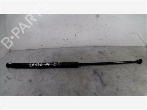 hood-lift-support-citroen-c5-i-dc_-2001-2002-2003-2004-2005-36537468 main image