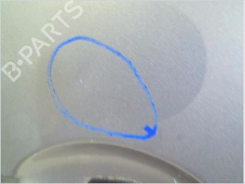 Right front door RENAULT SCÉNIC III (JZ0/1_) 1.5 dCi | BP29971690C3 