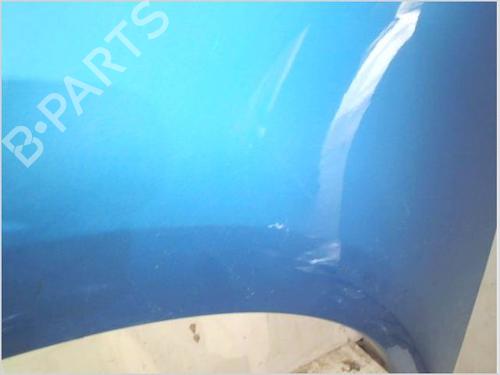 Left front fenders CITROËN C4 Picasso I MPV (UD_) 1.6 HDi | BP29341776C41 