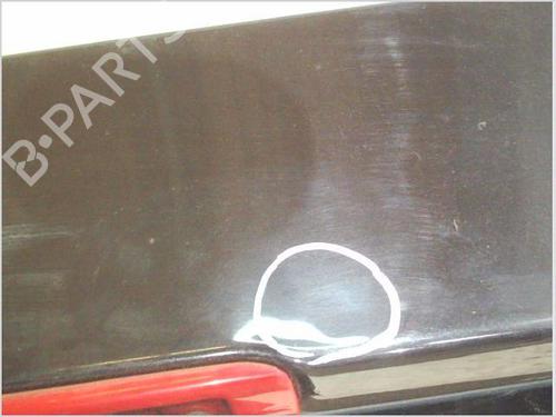 Tailgate RENAULT CLIO III (BR0/1, CR0/1) 1.4 16V | BP29560433C6 