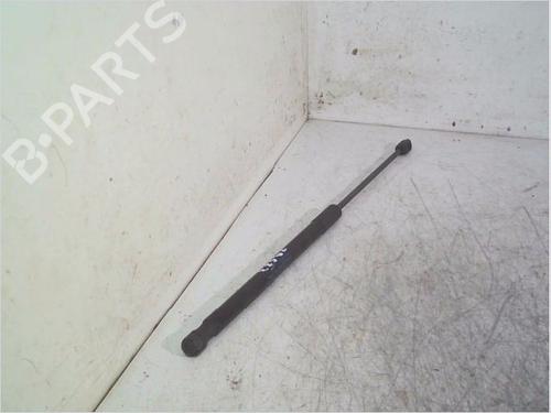 Used Tailgate lift support RENAULT MEGANE III Grandtour (KZ0/1) 1.5 dCi (KZ09, KZ0D, KZ1G, KZ29, KZ14, KZ1W, KZ10, KZ1F,... (110 hp) 26116569