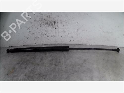 Gassdemper Bakluke CITROËN C3 Picasso (SH_) 1.4 VTi 95 (SH8FSC, SH8FP0, SH8FP6) (95 hp) 26101906