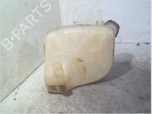 Expansion tank RENAULT TWINGO II (CN0_) 1.2 16V (CN0K, CN0V, CN0A) | BP30876554C120