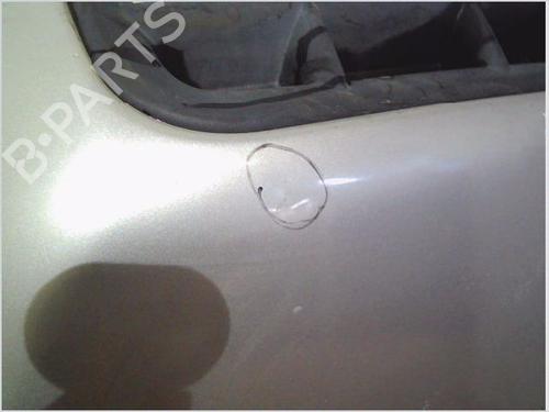 Hood FIAT DOBLO Box Body/MPV (223_) 1.9 JTD | BP29497214C1 