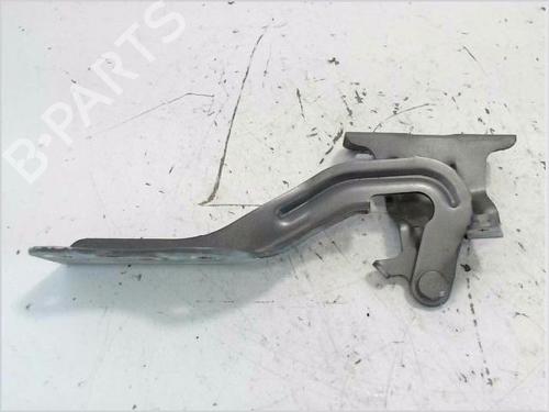 Used Hinge/Door check strap NISSAN X-TRAIL II (T31) 2.0 dCi 4x4 (150 hp) 27291522