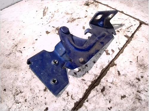 Used Hinge/Door check strap RENAULT KANGOO (KC0/1_) 1.4 (KC0C, KC0H, KC0B, KC0M) (75 hp) 29473074