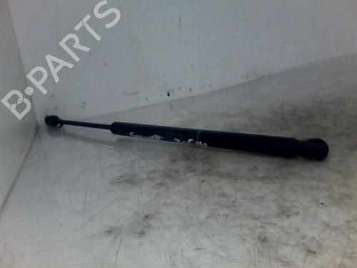 Used Tailgate lift support RENAULT SCÉNIC II (JM0/1_) 1.9 dCi (JM0G, JM12, JM1G, JM2C) (120 hp) 26076869