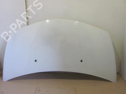 Used Hood RENAULT CLIO III (BR0/1, CR0/1) 1.5 dCi (75 hp) 26066262