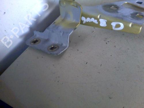 Used Hinge/Door check strap RENAULT MEGANE II (BM0/1_, CM0/1_) 1.9 dCi (BM0G, CM0G) (120 hp) 26060479