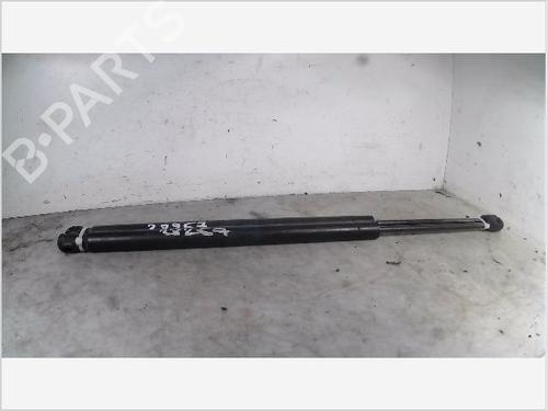 Used Tailgate lift support RENAULT SCÉNIC II (JM0/1_) 1.9 dCi (JM0G, JM12, JM1G, JM2C) (120 hp) 26097255