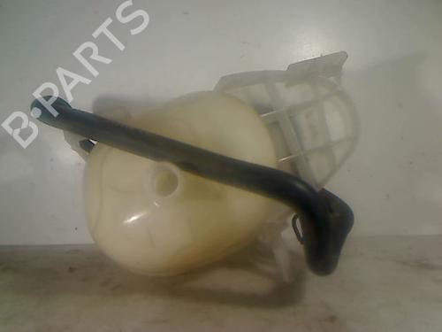 Expansion tank RENAULT TWINGO III (BCM_, BCA_) 1.0 SCe 70 | BP26095480C120