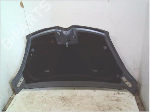 Hood CITROËN C4 Grand Picasso I (UA_) 1.6 HDi 110 | BP26119498C1