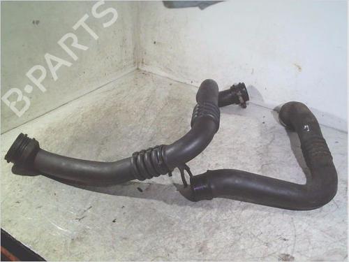 Used Pipe RENAULT SCÉNIC I MPV (JA0/1_, FA0_) 1.9 dCi (JA05, JA1F) (102 hp) 30382031