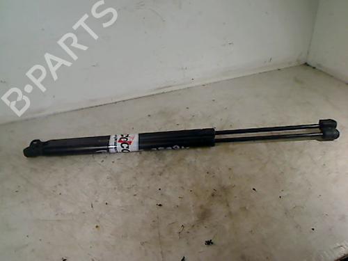 Gassdemper Bakluke RENAULT SCÉNIC II (JM0/1_) 1.9 dCi (JM0G, JM12, JM1G, JM2C) (120 hp) 26088474