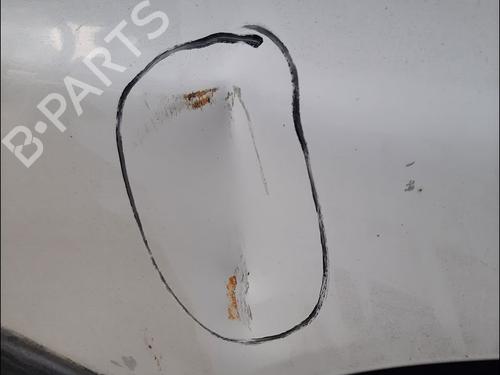 Right front door FIAT DUCATO Van (244_) 2.0 JTD | BP29483063C3 