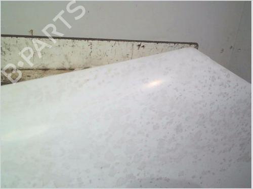 Left front fenders CITROËN JUMPY I (U6U_) 1.9 D 70 | BP26118679C41 