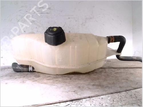 Used Expansion tank RENAULT CLIO III (BR0/1, CR0/1) 1.2 16V (BR02, BR0J, BR11, CR02, CR0J, CR11) (75 hp) 26107335