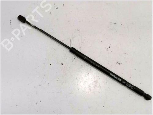 Used Tailgate lift support RENAULT SCÉNIC II (JM0/1_) 1.5 dCi (JM1E, JM16) (106 hp) 26119556