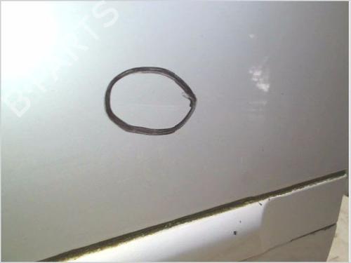 Right rear door RENAULT CLIO III (BR0/1, CR0/1) 1.5 dCi (C/BR0G, C/BR1G) | BP26119453C5 