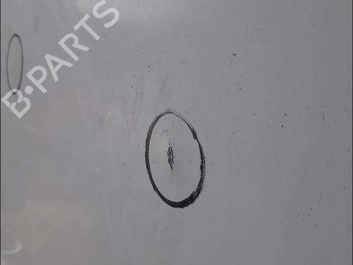 Right slide door RENAULT MASTER III Van (FV) 2.3 dCi 130 FWD (FV0M, FV0Y, FV0J, FV02, FV03) | BP29473483C75 