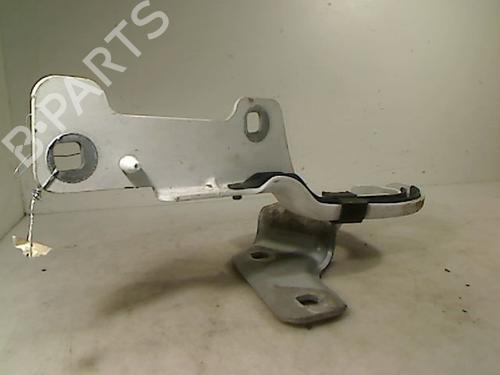 Used Hinge/Door check strap RENAULT CLIO III (BR0/1, CR0/1) 1.5 dCi (88 hp) 26082520
