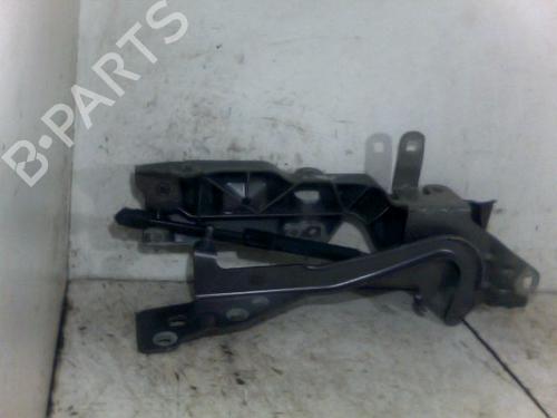 Hinge/Door check strap RENAULT SCÉNIC III (JZ0/1_) 1.9 dCi (JZ0J, JZ1J, JZ1K, JZ1S) | BP26095187C146 