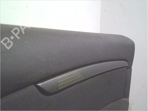 Front right panel RENAULT SCÉNIC III (JZ0/1_) 1.5 dCi | BP30113475C59