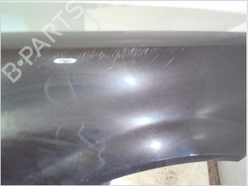 Right front fenders RENAULT MEGANE II (BM0/1_, CM0/1_) 1.9 dCi | BP26201203C42 