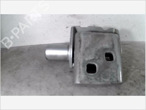 Hinge/Door check strap RENAULT CLIO III (BR0/1, CR0/1) 1.5 dCi (C/BR0G, C/BR1G) | BP26095868C146 