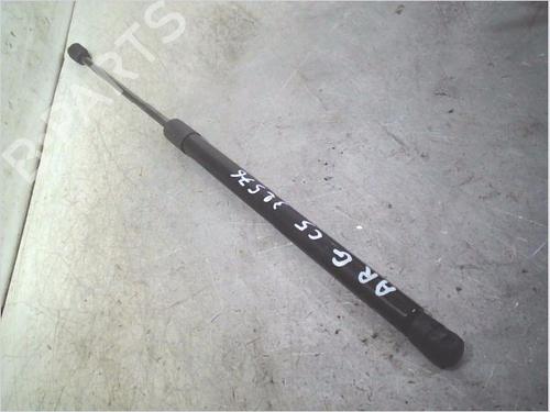 tailgate-lift-support-citroen-c5-ii-rc_-2004-2005-2006-2007-2008-38327174 main image