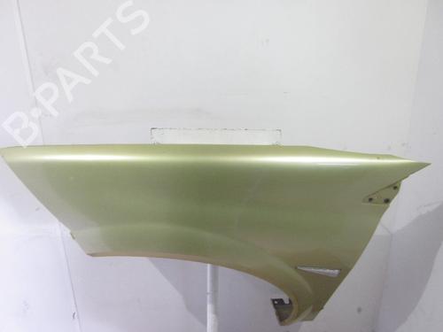 Left front fenders RENAULT MEGANE II (BM0/1_, CM0/1_) 1.5 dCi (BM0F, BM0T, BM2B, CM0F, CM0T) | BP26090111C41 