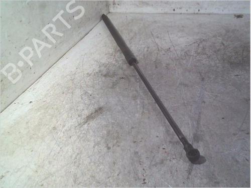 Gasdæmper bagklap CITROËN XSARA PICASSO (N68) 2.0 HDi (90 hp) 31923899