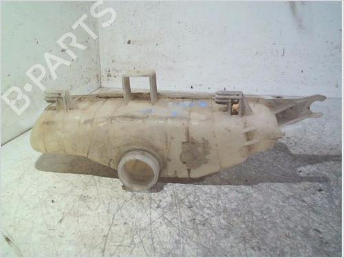 Used Expansion tank RENAULT CLIO III (BR0/1, CR0/1) 1.5 dCi (C/BR0G, C/BR1G) (68 hp) 26119225