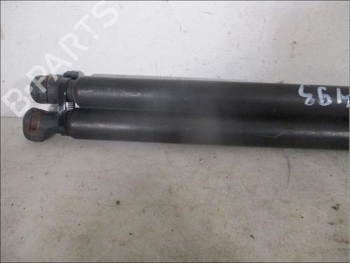 Tailgate lift support AUDI A3 (8L1) 1.9 TDI | BP26106287C138 