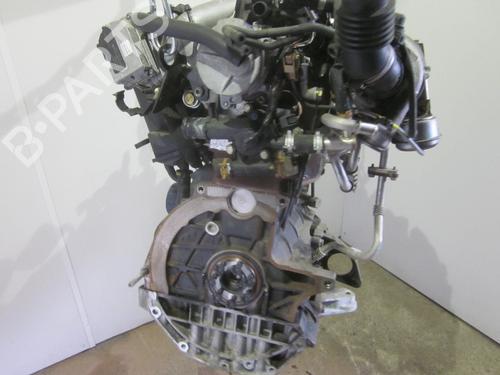 Engine RENAULT SCÉNIC II (JM0/1_) 1.9 dCi (JM14) | BP26068680M1 