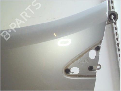 Left front fenders RENAULT CLIO III (BR0/1, CR0/1) 1.5 dCi | BP26116772C41 