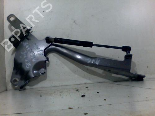 Hinge/Door check strap RENAULT SCÉNIC III (JZ0/1_) 1.5 dCi | BP26089948C146 