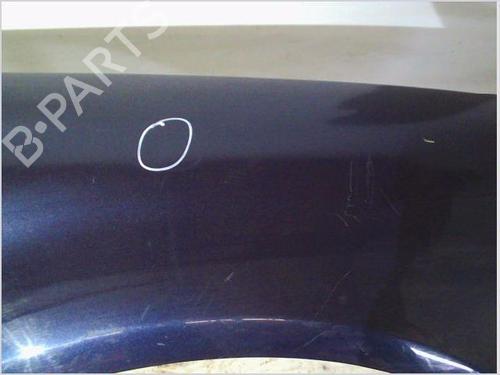 Right front fenders VW PASSAT B5 (3B2) 2.5 TDI | BP26106957C42 