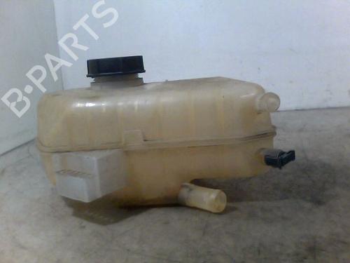 Used Expansion tank FORD FIESTA VI (CB1, CCN) 1.25 (60 hp) 26074111