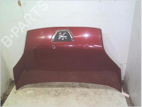 Capot PEUGEOT BIPPER Tepee 1.3 HDi 75 (75 hp) 30627738