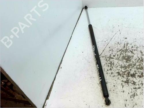 Amortiguador portón/maletero RENAULT ESPACE IV (JK0/1_) 2.2 dCi (JK0H) (150 hp) 30795592